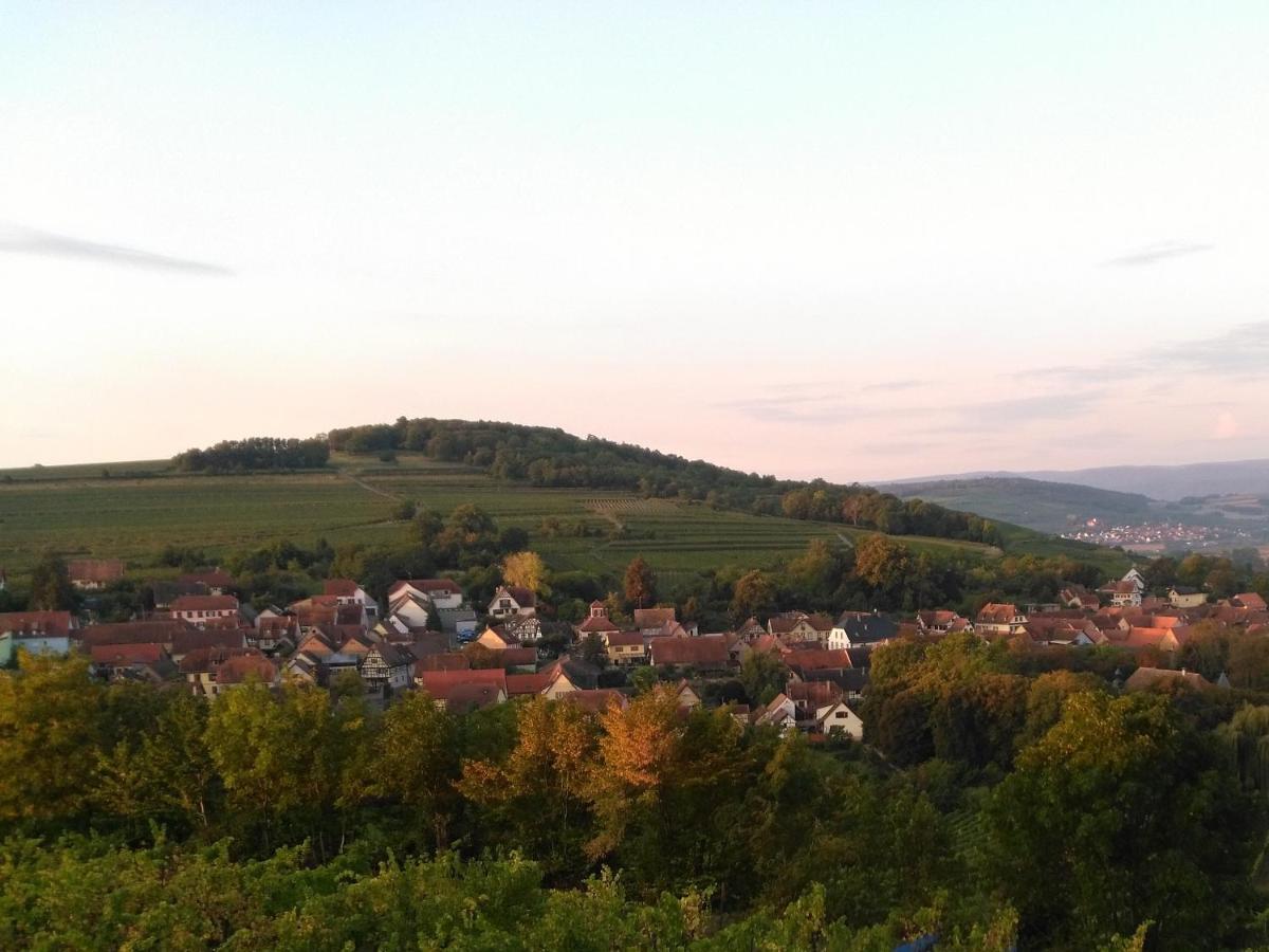 Le Repaire Des Hirondelles - Le Colombage Villa Scharrachbergheim-Irmstett Luaran gambar
